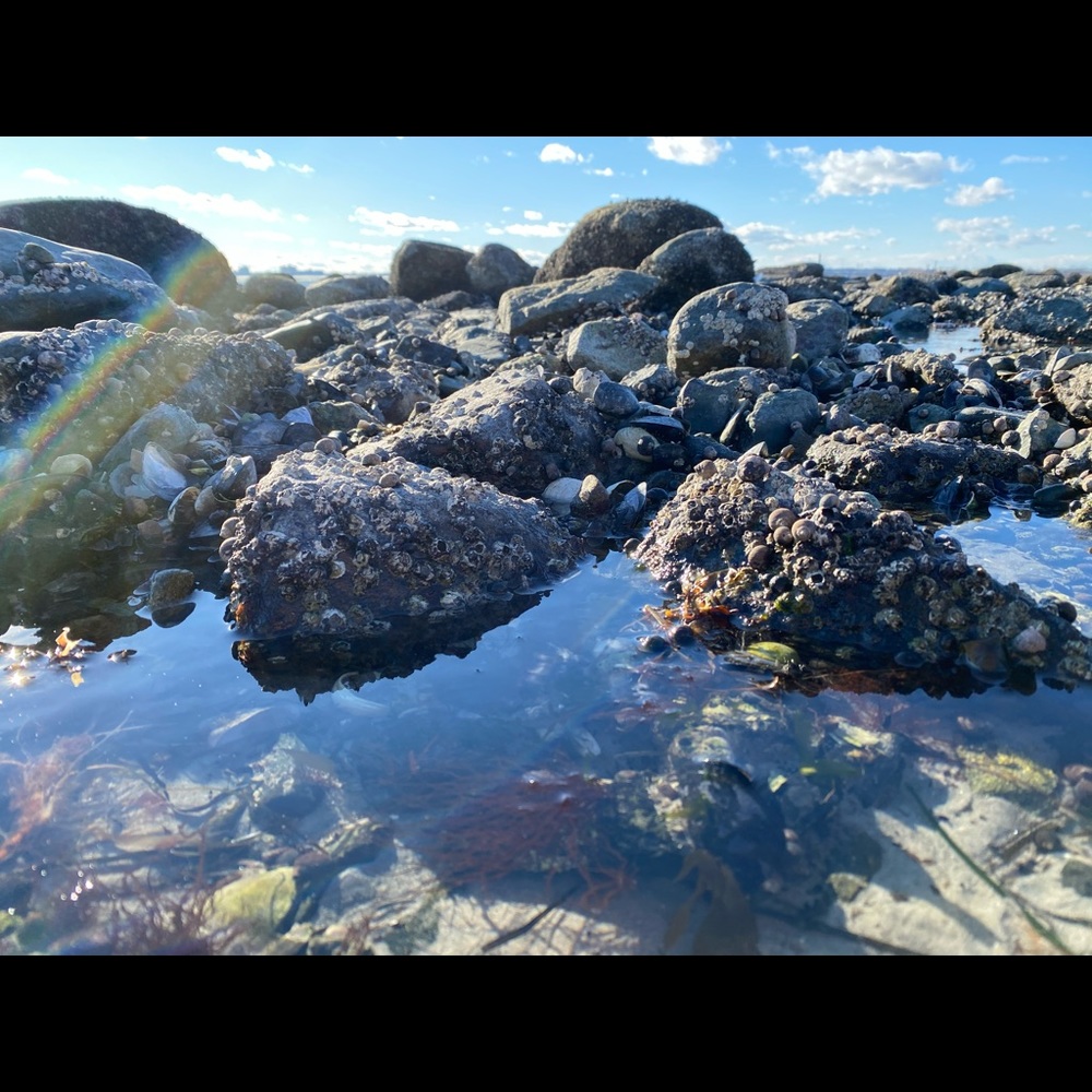 Meet your Posher, Daria